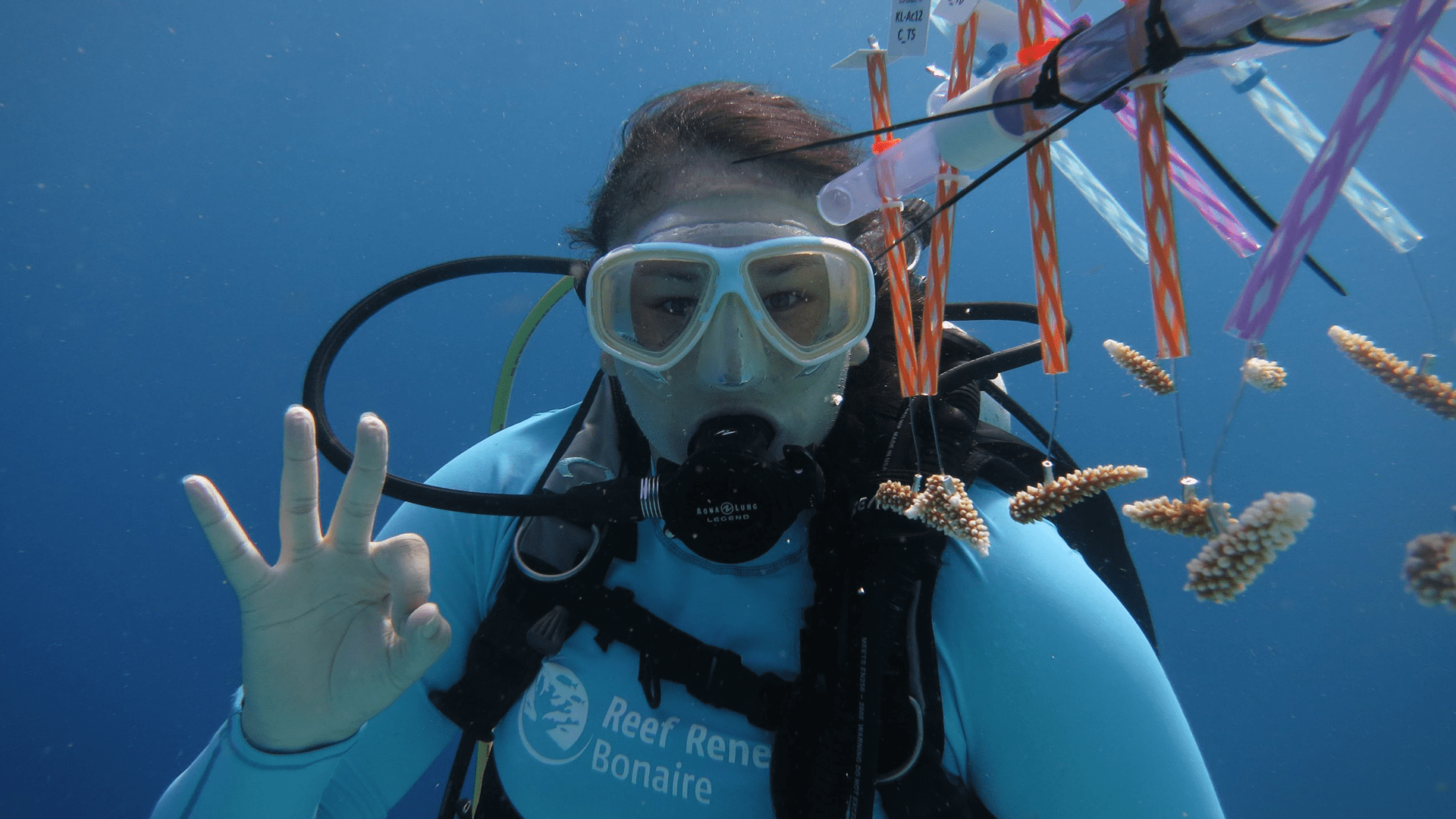 Serena Hackerott Receives Coral Restoration Scholarship